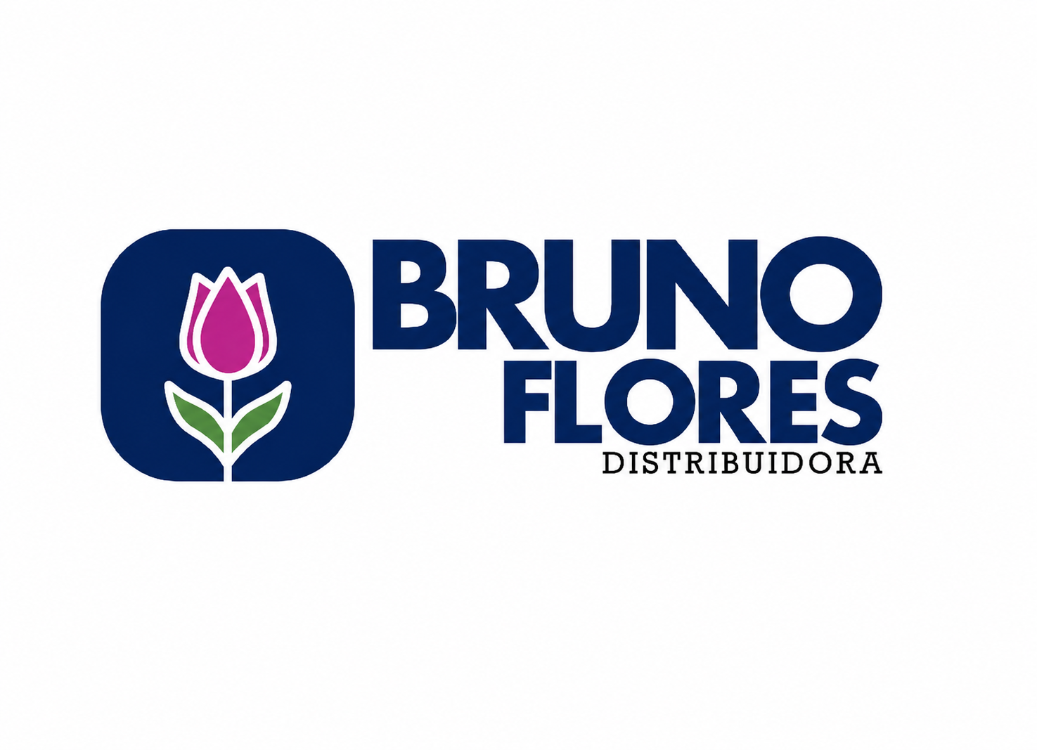 Bruno Flores Distribuidora